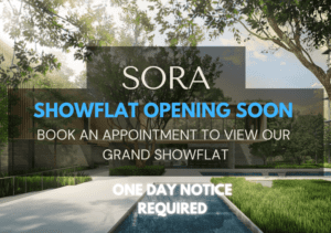 sora-showflat-opening-soon